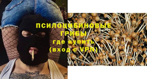 прущая мука Абинск