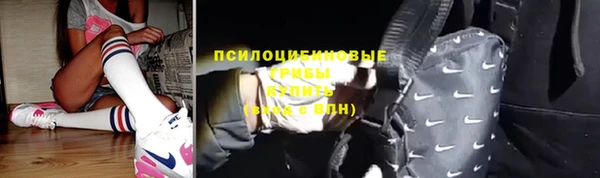 ПСИЛОЦИБИНОВЫЕ ГРИБЫ Абаза
