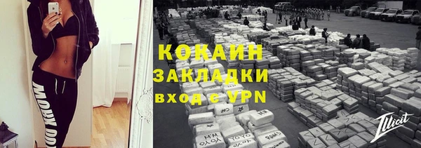 ПСИЛОЦИБИНОВЫЕ ГРИБЫ Абаза